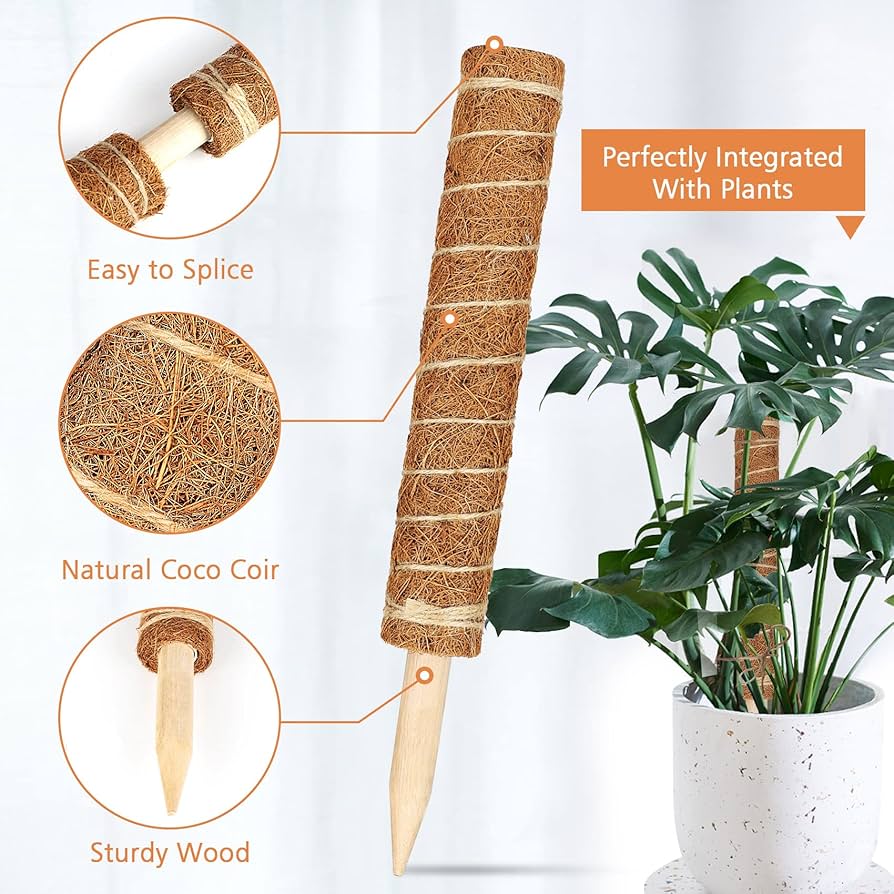 Amazon.com : 【4 Pack】 JJGoo Moss Pole, 17 inch Coco Coir